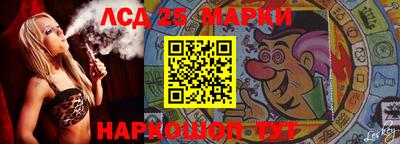 крисы Кулебаки