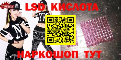 крисы Кулебаки