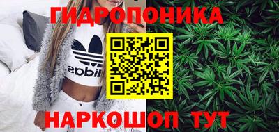 крисы Кулебаки