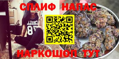 крисы Кулебаки