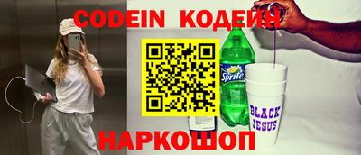 крисы Кулебаки
