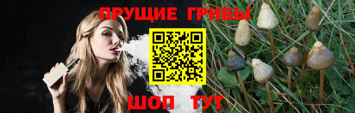 наркошоп  Псилоцибиновые грибы MAGIC MUSHROOMS  Вход с VPN  Галлюциногенные грибы мухоморы  Калуга 